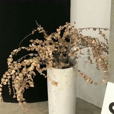 Furry插画光影处理技巧Furry群